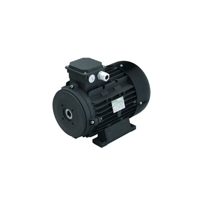 MOTOR ELECTRICO ITALIANO CON EJE HUECO AR RAVEL RV7 7,5 HP