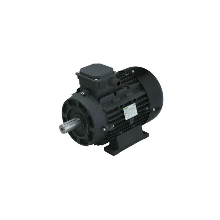 MOTOR ELECTRICO ITALIANO CON EJE MACHO AR RAVEL RV15 15HP