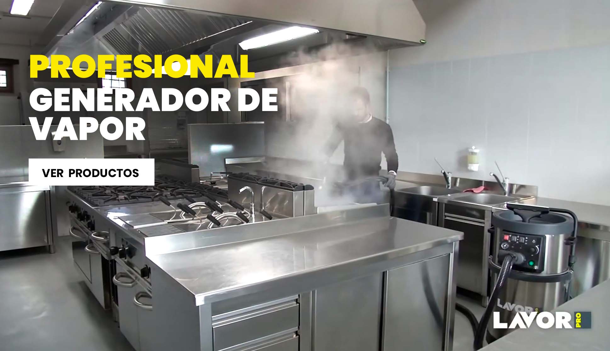 Generador de Vapor